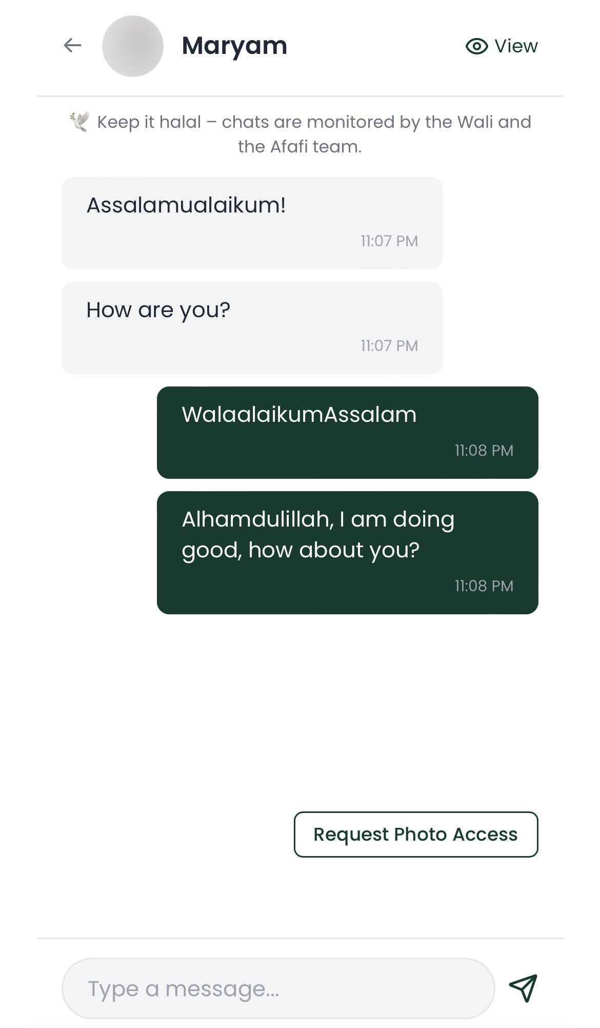 Afafi Chat Interface